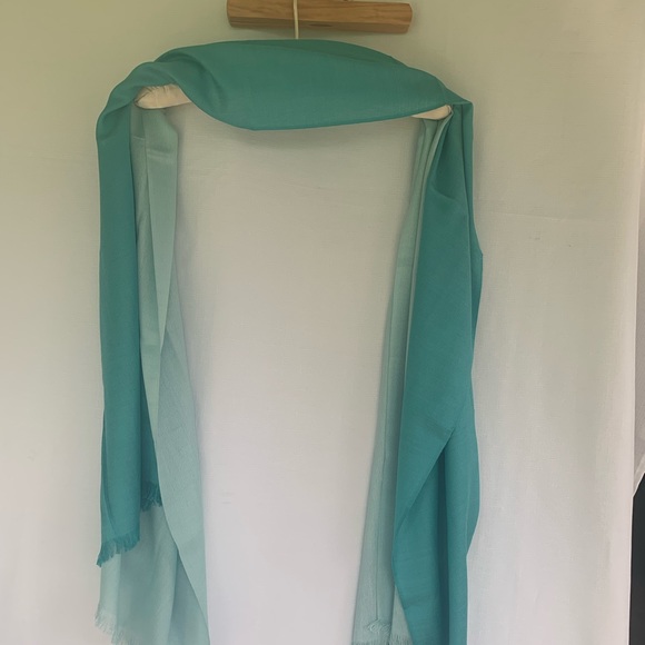 Eureka Kashmir Scarf Shawl Modal / Wool Mint Green Wrap Fringe 28 x 72 - Picture 1 of 6